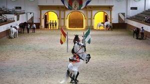 Equestrian Show and Winery in Jerez from Seville Cover Image