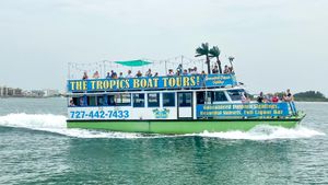 The Dolphin Encounter Boat Ride plus Lunch Cover Image
