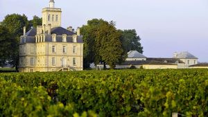 Private Full Day Winery Tour from Bordeaux with Hotel pick up & drop off Cover Image