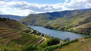 Douro Valley: Day Trip from Porto with Cruise + Port Wine Tasting & Lunch Cover Image
