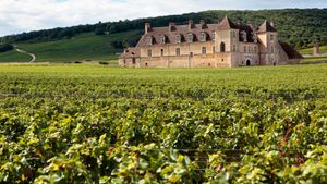 Provence: Bespoke Corporate or Team Building Event with Wine Tasting at a Chateaux Cover Image