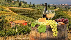 From Florence: Full Day Tour of Pisa, Siena, San Gimignano and the Chianti Wine Road Cover Image