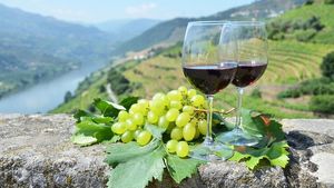 From Porto: Private Full Day Douro Valley Wine Tour (with Lunch and River Cruise Included) Cover Image