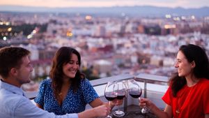 Valencia City of Arts & Sciences Tour with Rooftop Wine Tasting and Tapas Cover Image