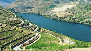 From Porto: Private Douro Valley Food and Wine Tour Cover Image