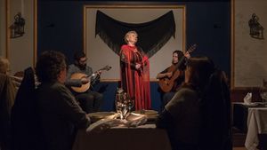 Porto: Guided Night Tour with Fado Show, Dinner and Transport Cover Image