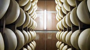 From Florence: Parmigiano, Balsamico & Lambrusco Tour Cover Image