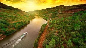 From Porto: Full Day Cruise to Pinhão in Douro Valley Wine Region (with Breakfast and Lunch) Cover Image