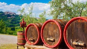 From Florence: Pisa, Siena and Chianti Wine Region Full-Day Wine Tour (with Lunch) Cover Image