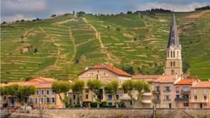 From Lyon: Private Hermitage, Condrieu & Cote Rôtie Wine Tour Cover Image