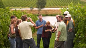 From San Sebastian: Full-Day Wine Tour Visiting 2 Wineries in the Rioja Wine Region Cover Image