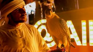 Dubai: Premium Desert Safari with Sandboarding, Falconry, Camel Ride and BBQ Dinner Cover Image