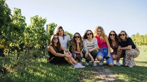 Bordeaux: Afternoon Wine Tour in Saint-Emilion and Visit to the Village Cover Image