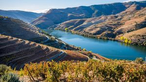 From Porto: All Inclusive Douro Valley Private Wine Tour (with Lunch) Cover Image
