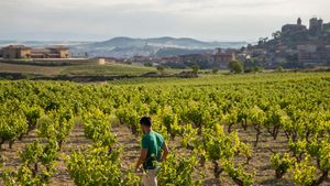 From San Sebastian: Day in La Rioja Wine Region Cover Image