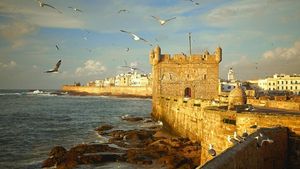 Essaouira Private Day Trip from Marrakech Cover Image