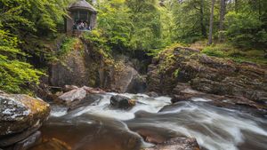 Whisky and Waterfalls including Distillery Tour Cover Image