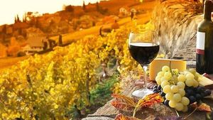 From Florence: Chianti Private Tour with Dinner and Wine Tasting Experience Cover Image