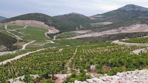 From Dubrovnik: Wine Tasting and Visit to Ston Cover Image