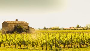 From Bordeaux: A Private Bordeaux Wine Tour Shore Excursion to Saint Emilion Cover Image