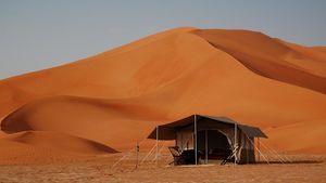 Abu Dhabi: Private Liwa Overnight Desert Safari (with BBQ Dinner) Cover Image