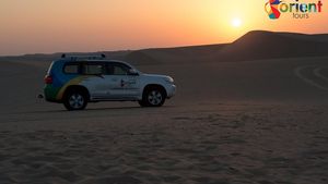 Dubai: Private Tour - Sunset Desert Drive with Wildlife Experience (and BBQ Dinner) Cover Image
