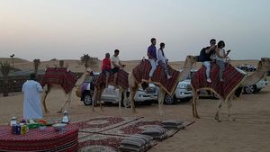 Dubai Camel Caravan with BBQ Dinner Buffet Cover Image