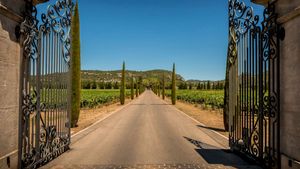 From Aix en Provence: Provence Half Day Wine Tour Cover Image