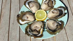 From Dubrovnik: Half-Day Trip - Oysters in Ston Cover Image
