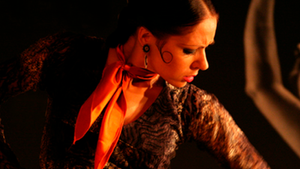 Corral de la Moreria: Flamenco Show + Dinner Cover Image