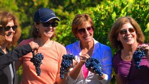 Shore Excursion from Livorno Truffle Hunting, Cooking Class & Chianti Wine Tour Cover Image