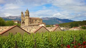 From San Sebastian: Explore an Exclusive Winery in the Rioja Wine Region Cover Image
