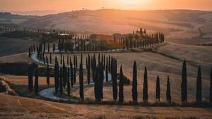 From Florence: Private Full Day Tour of the Val d'Orcia Wine Region (with Lunch) Cover Image