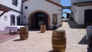 Barcelona: Visit to Winery with Wine Tasting and lunch. Cover Image