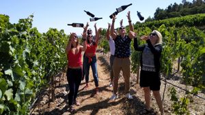 Douro Valley Small Group Tour with Wine Tastings, Lunch and River Cruise Cover Image